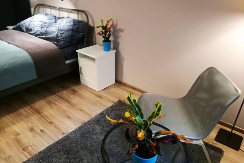 Sophus Respite. Samo Centrum Krakowa المظهر الخارجي الصورة